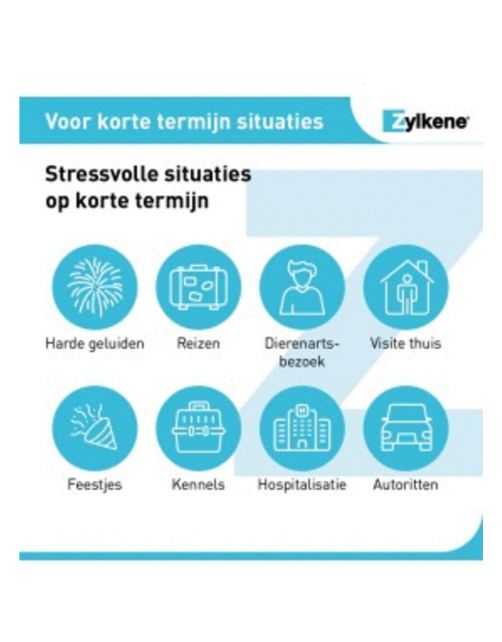 Zylkene Capsule 450 Mg - Anti stressmiddel - 450 g 30 caps Voor Grote Honden (15-60 Kg)