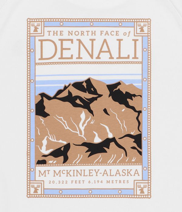 The North Face North Faces T-Shirt (white)