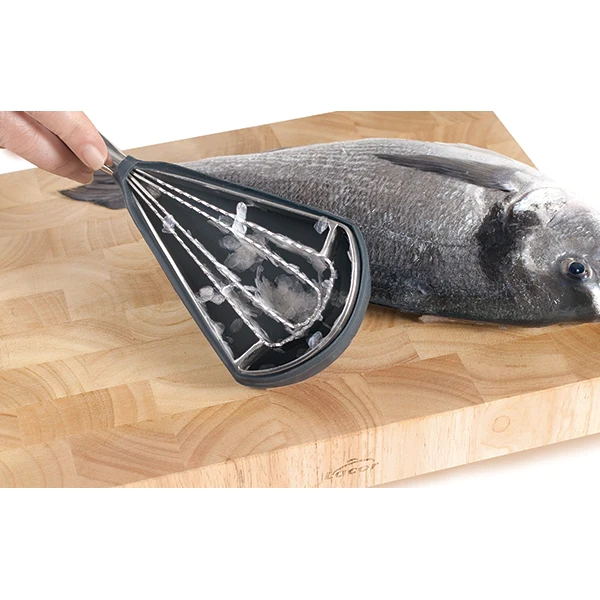Grattoir à poisson inox Lacor