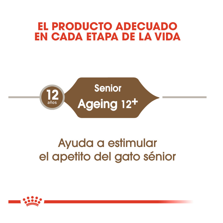 Ração Royal Canin para gatos com mais de 12 anos