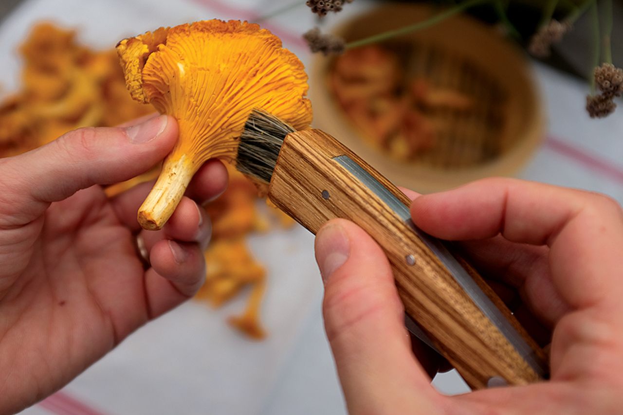 Pilzmesser Massivholz mit Naturhaarbürste