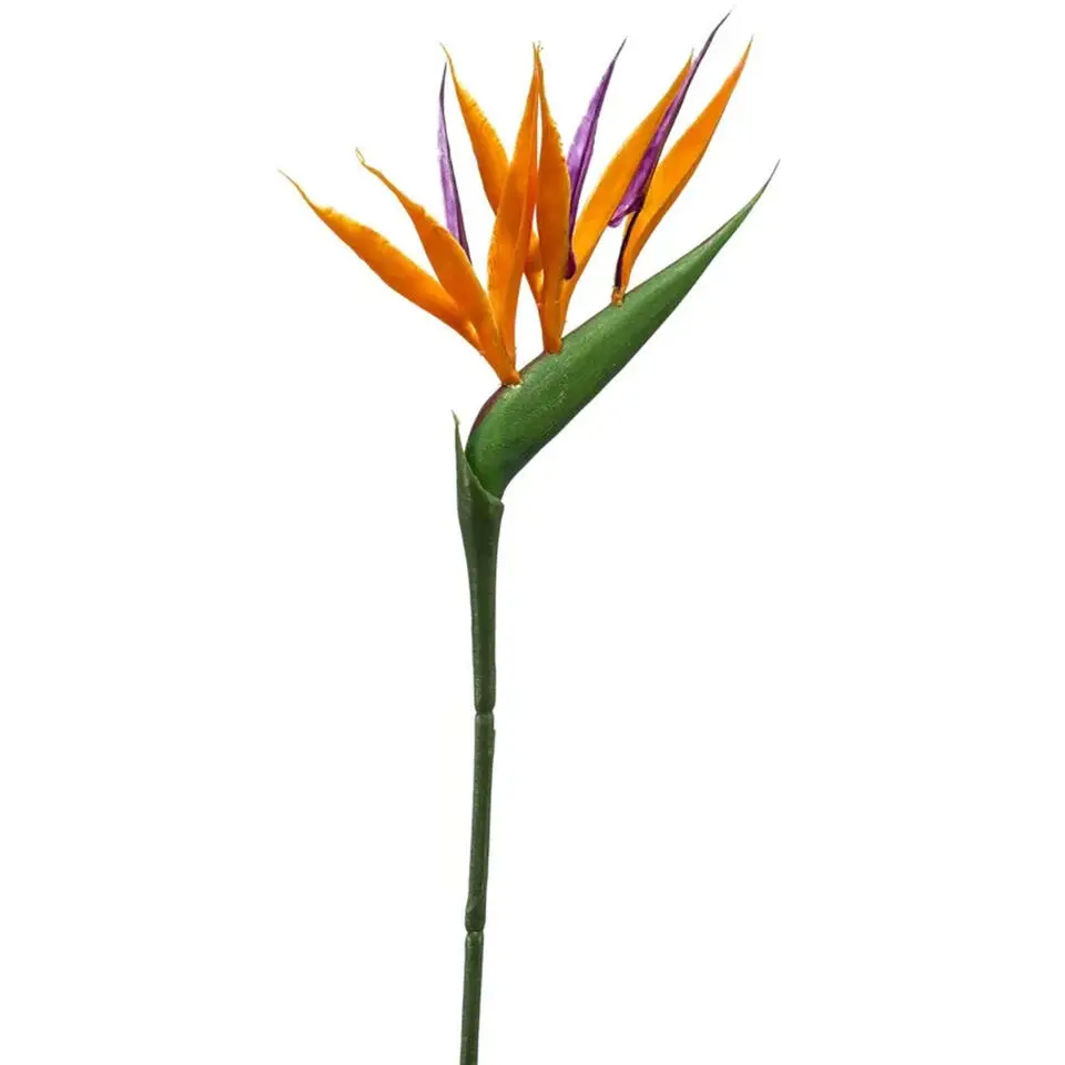 Emerald Kunstbloem Strelitzia - 65 cm - tak - Paradijsvogelplant