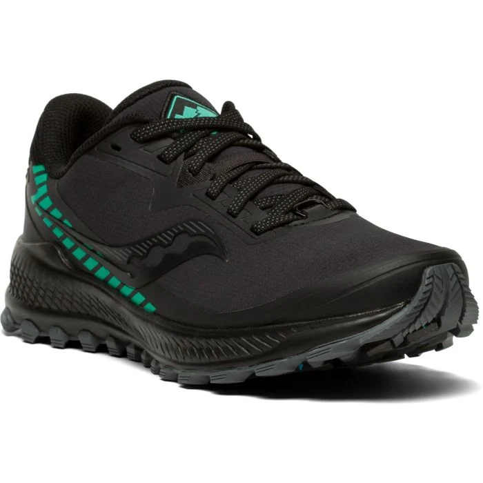 Saucony Dame Trailsko Peregrine ICE+ 2