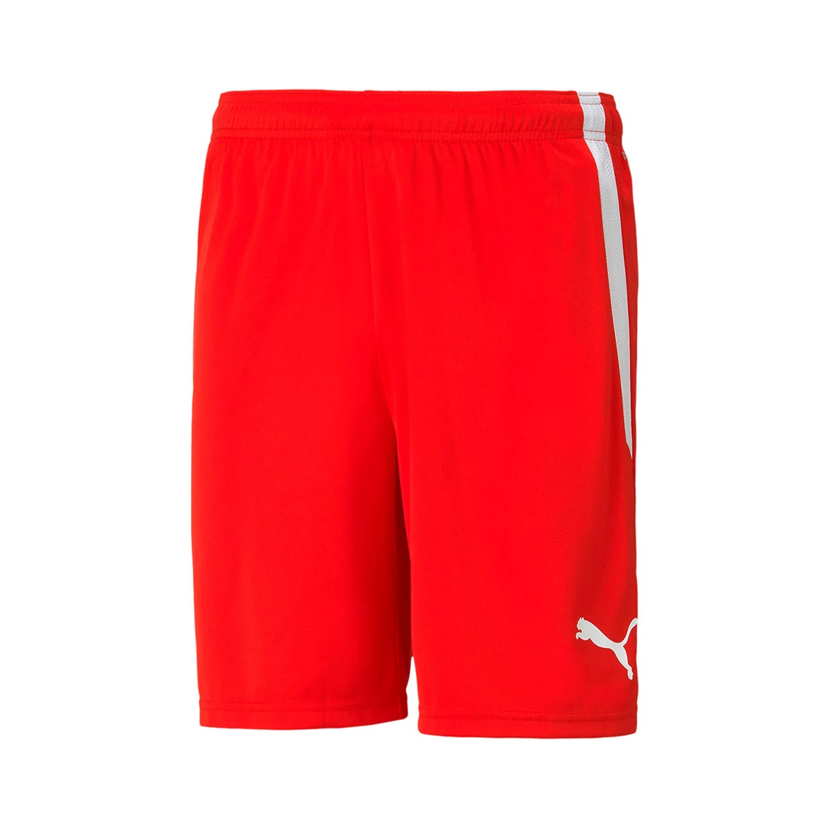 Calções Puma teamLIGA