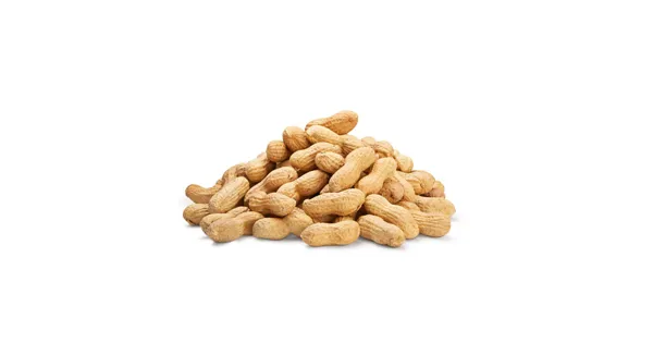Naturaplan Bio Erdnüsse