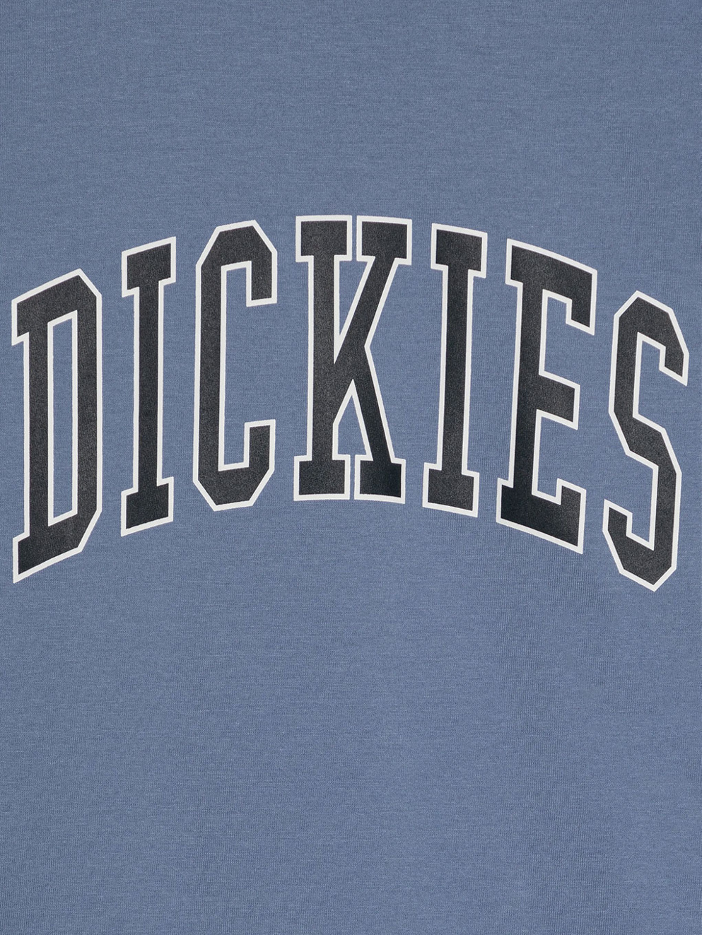 Dickies Aitkin Kids T-Shirt country blue