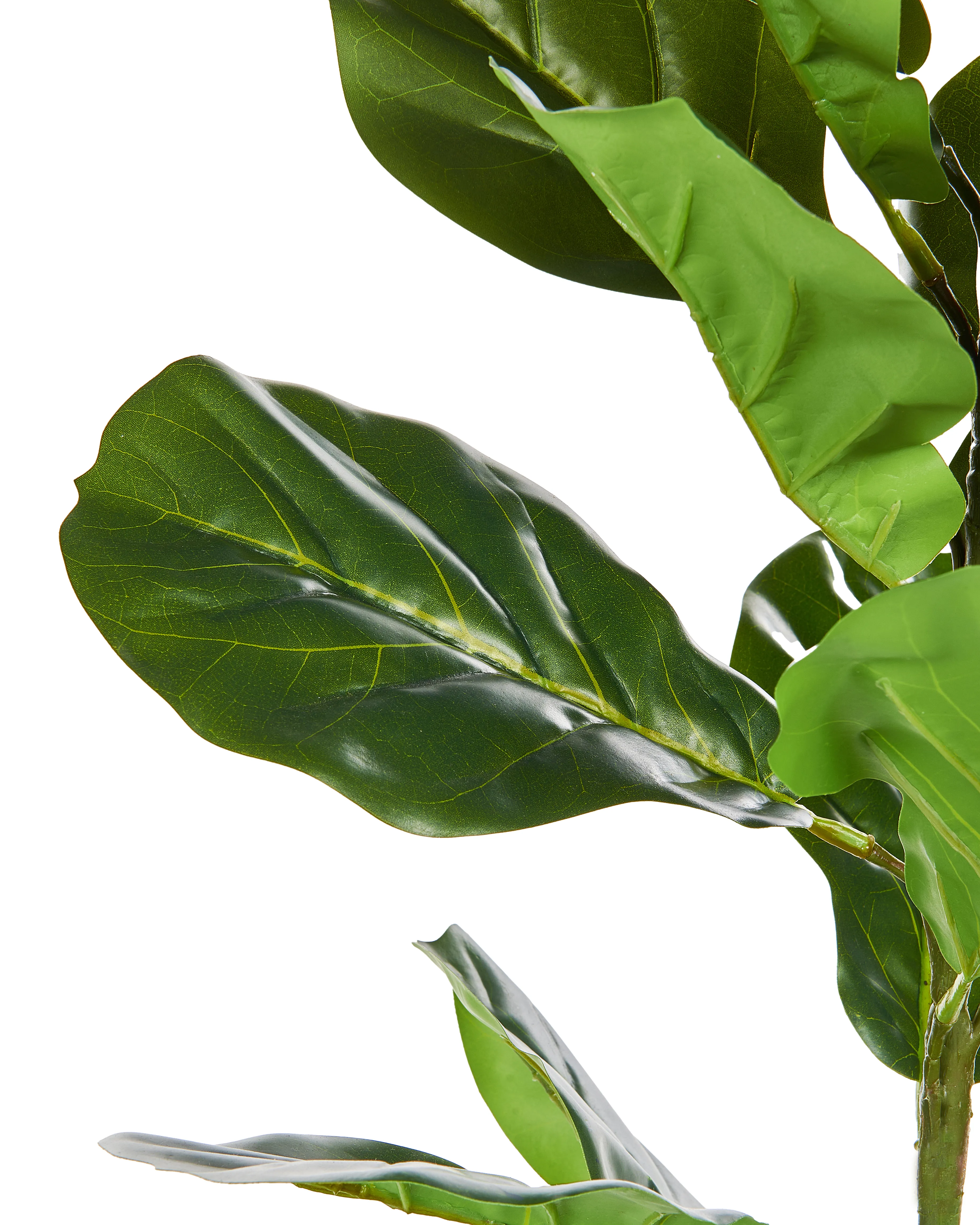 Kunstplant FIDDLE LEAF TREE 72 cm Groen