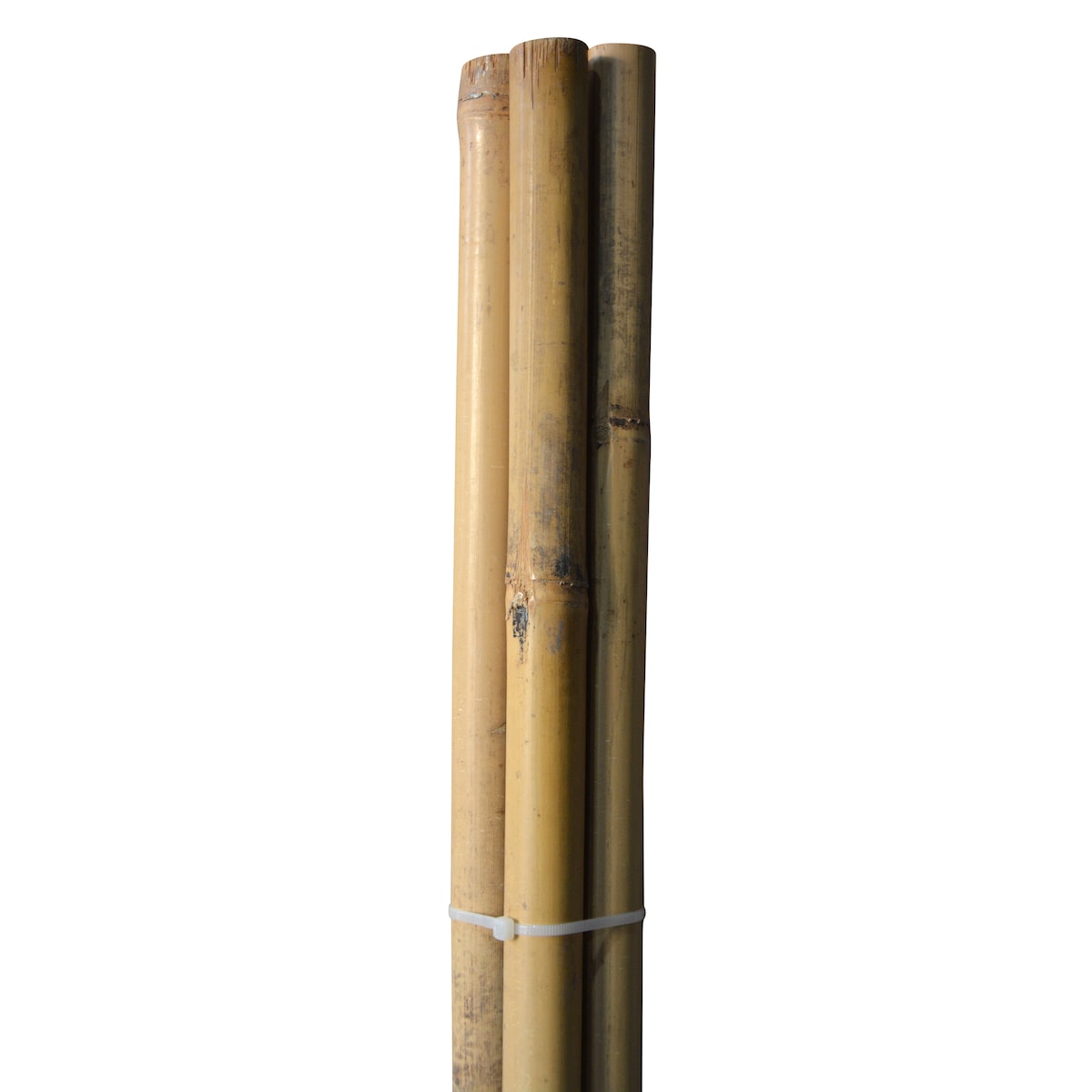 Bambupinnar – 150 cm – Ø25,4 mm – 4 st.