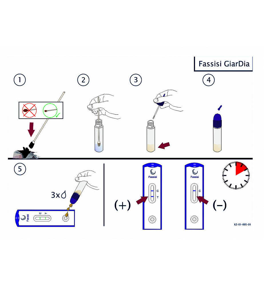 Fassisi Giardia Ontlasting Sneltest Hond Kat | 1 stuk | 13111
