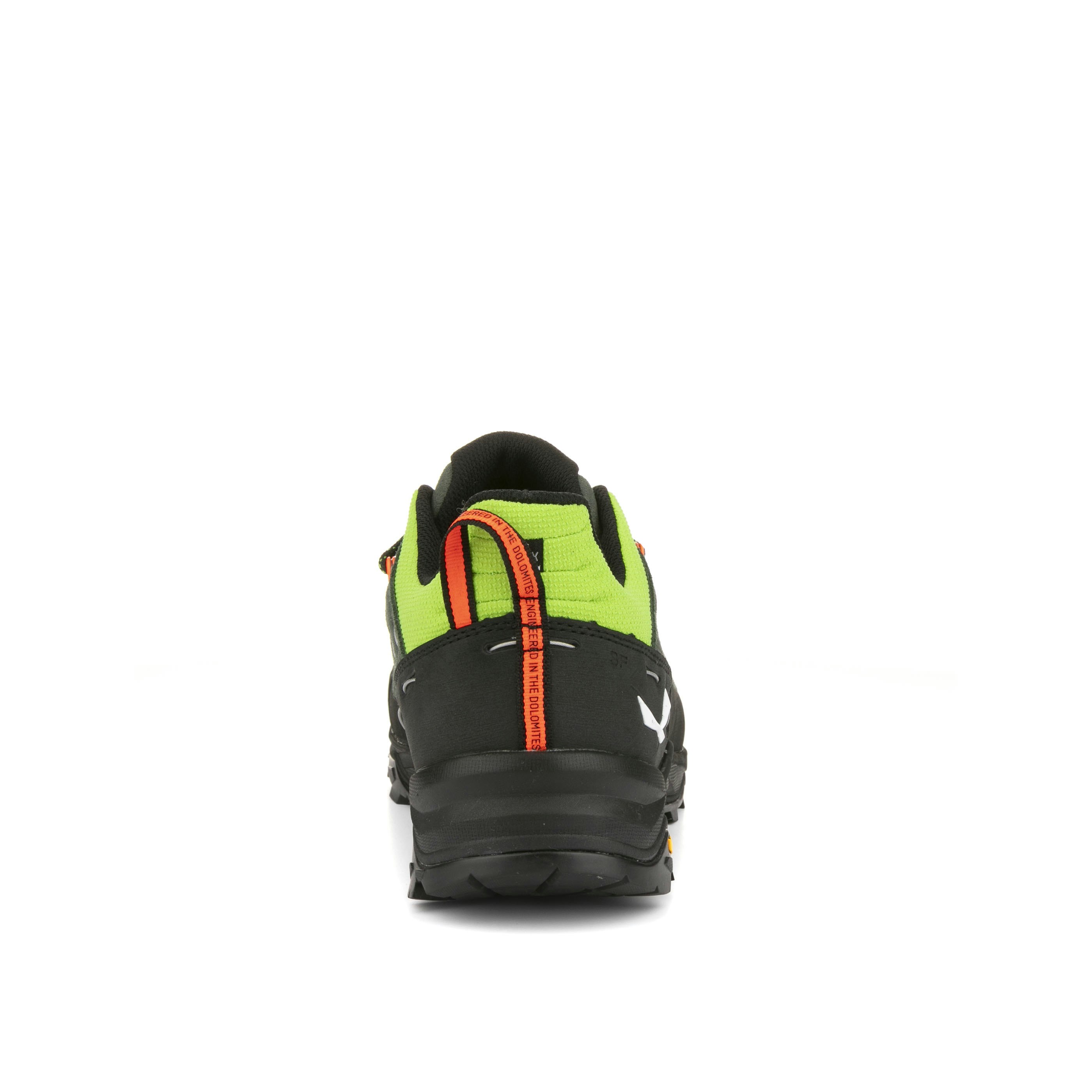 Alp Trainer 2 Schuh Herren