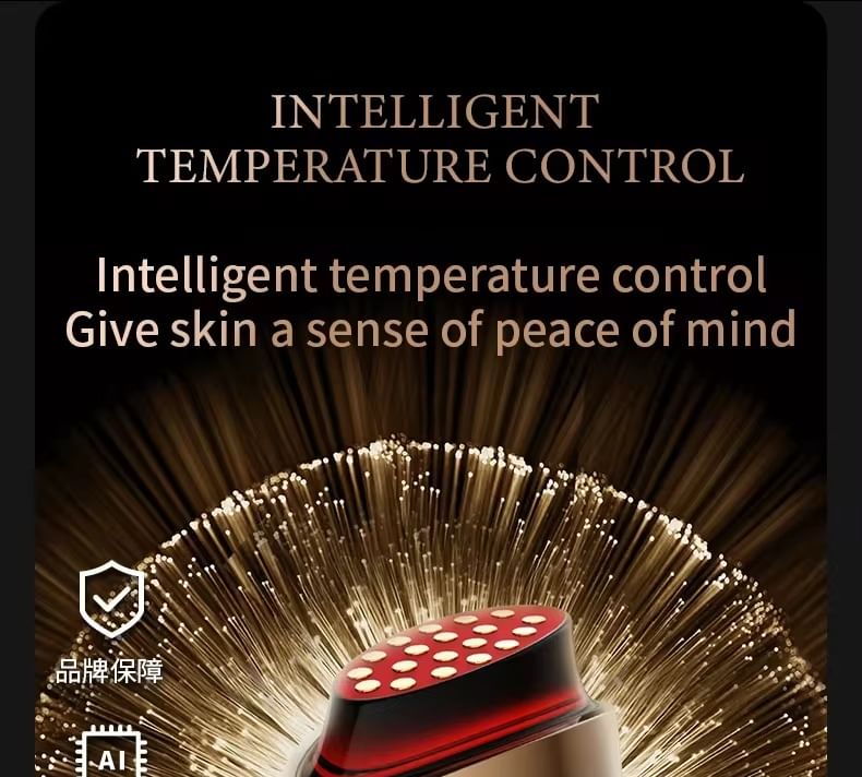 Beautyronics - USB oplaadbare lichttherapie gezichtsmassager