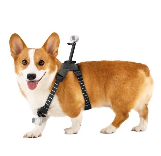 Insta360 - GO 3/GO 3S Pet Harness Mount Size S