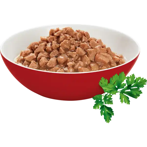 Poésie Classique in Sauce Multipack