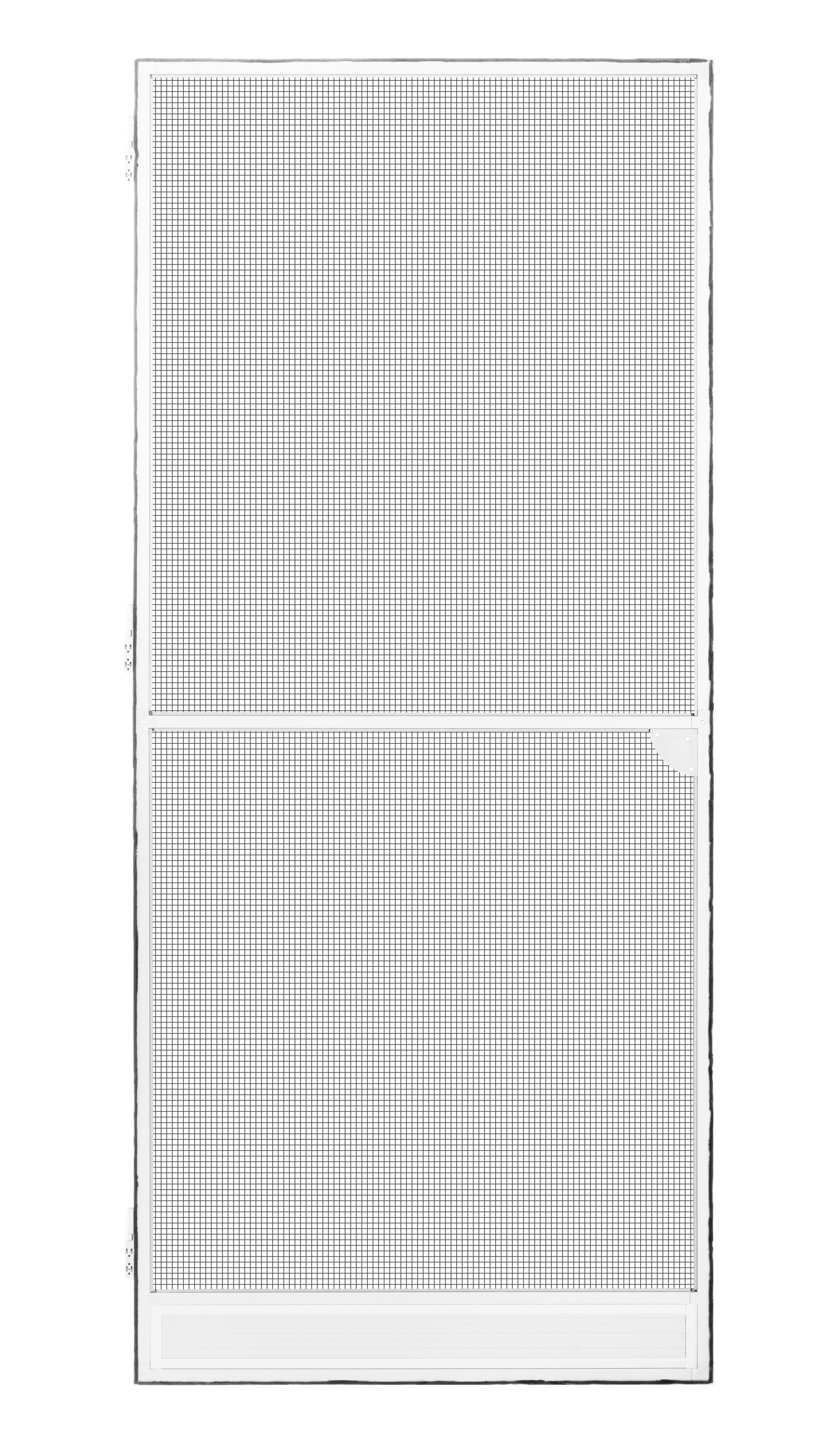 Schellenberg Fliegengittertür Premium, 100 x 215 cm, weiß