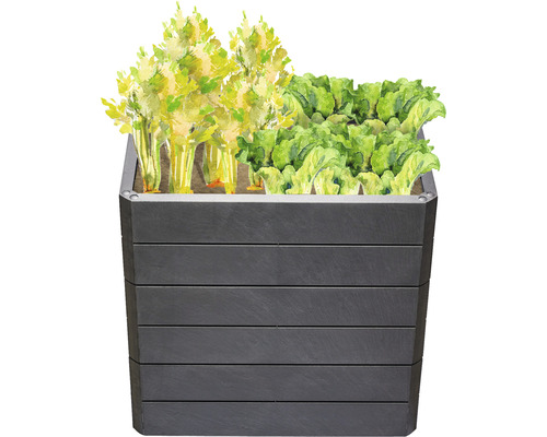 Klassieke verhoogde tuinbak GARANTIA ERGO Quadro M 75 incl. Flora waterbesparend systeem 80 x 60 x 75 cm steen
