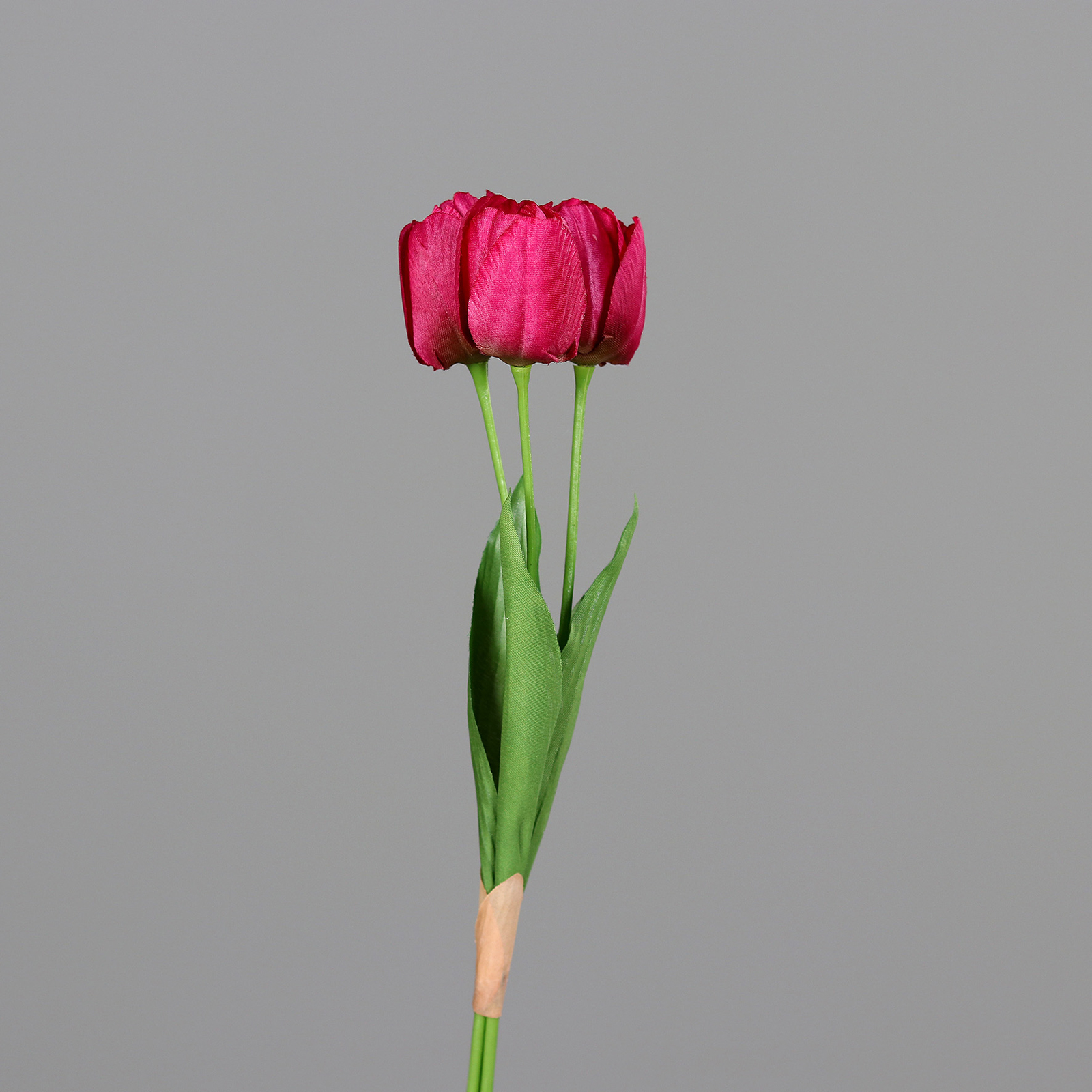 Tulpen-Bund - fuchsia - Kunststoff - 3 Stück