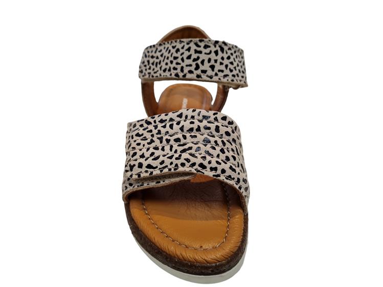 Jochie & Freaks 24724 Daisy 866 Leopard
