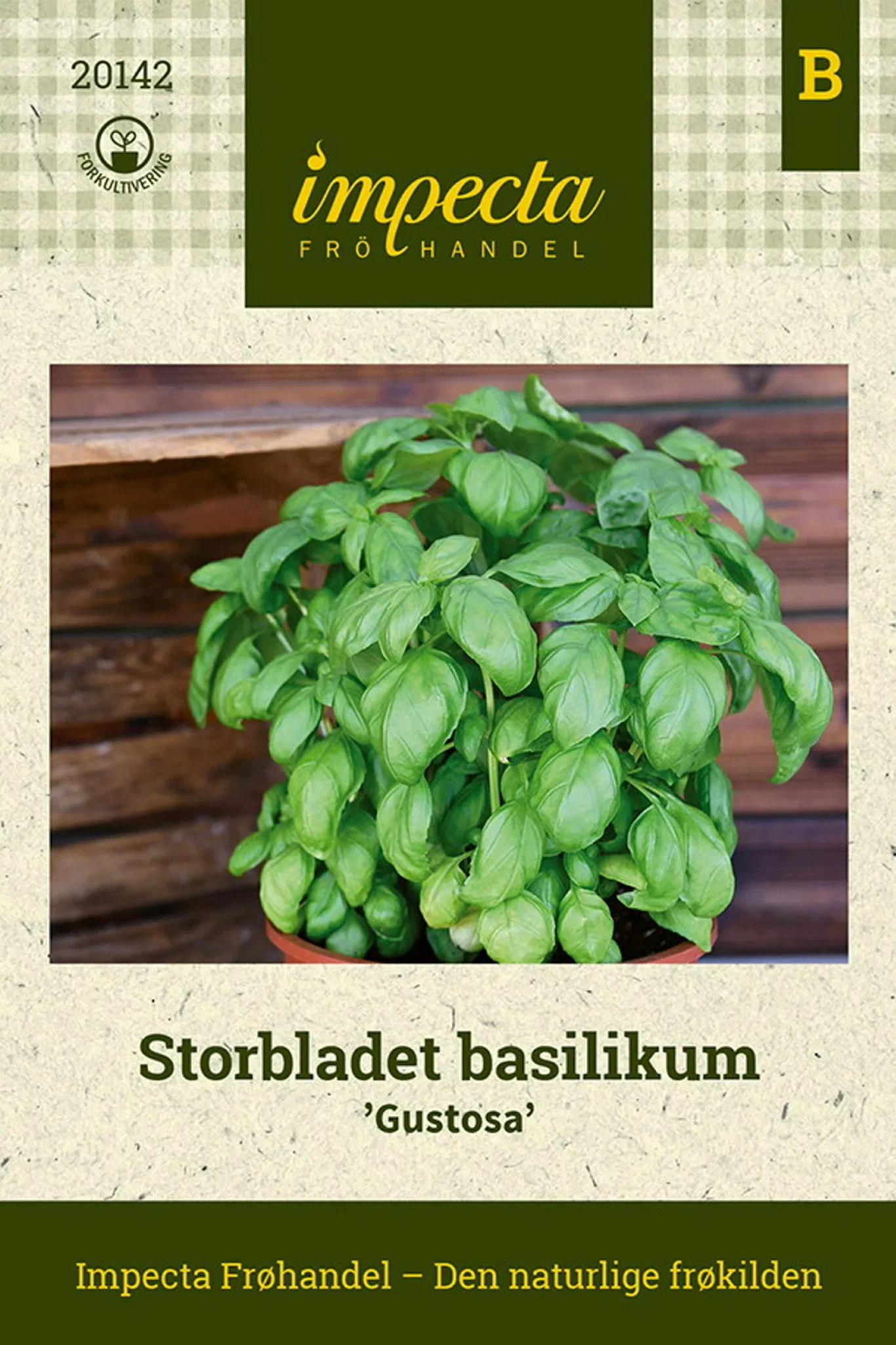 Ocimum basilicum 'Gustosa' Storbladet basilikum 'Gustosa'