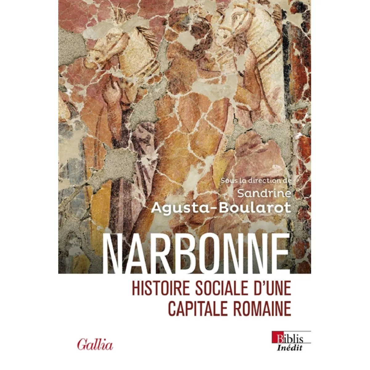 Narbonne : histoire sociale d'une capitale romaine