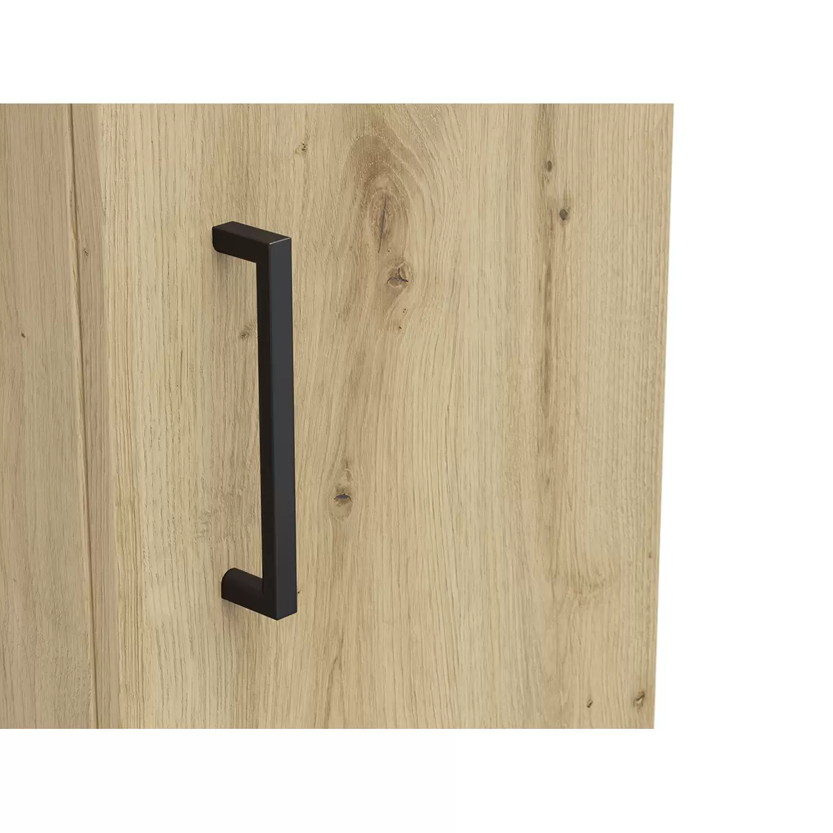 Regal 1T Cabinet Artisan Eiche