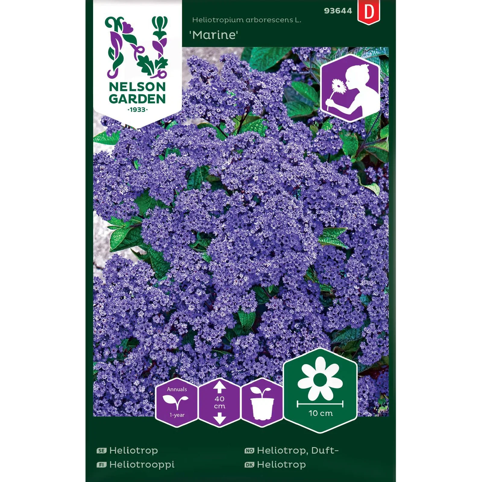 Heliotropium arborescens L. Dufteheliotrop 'Marine'