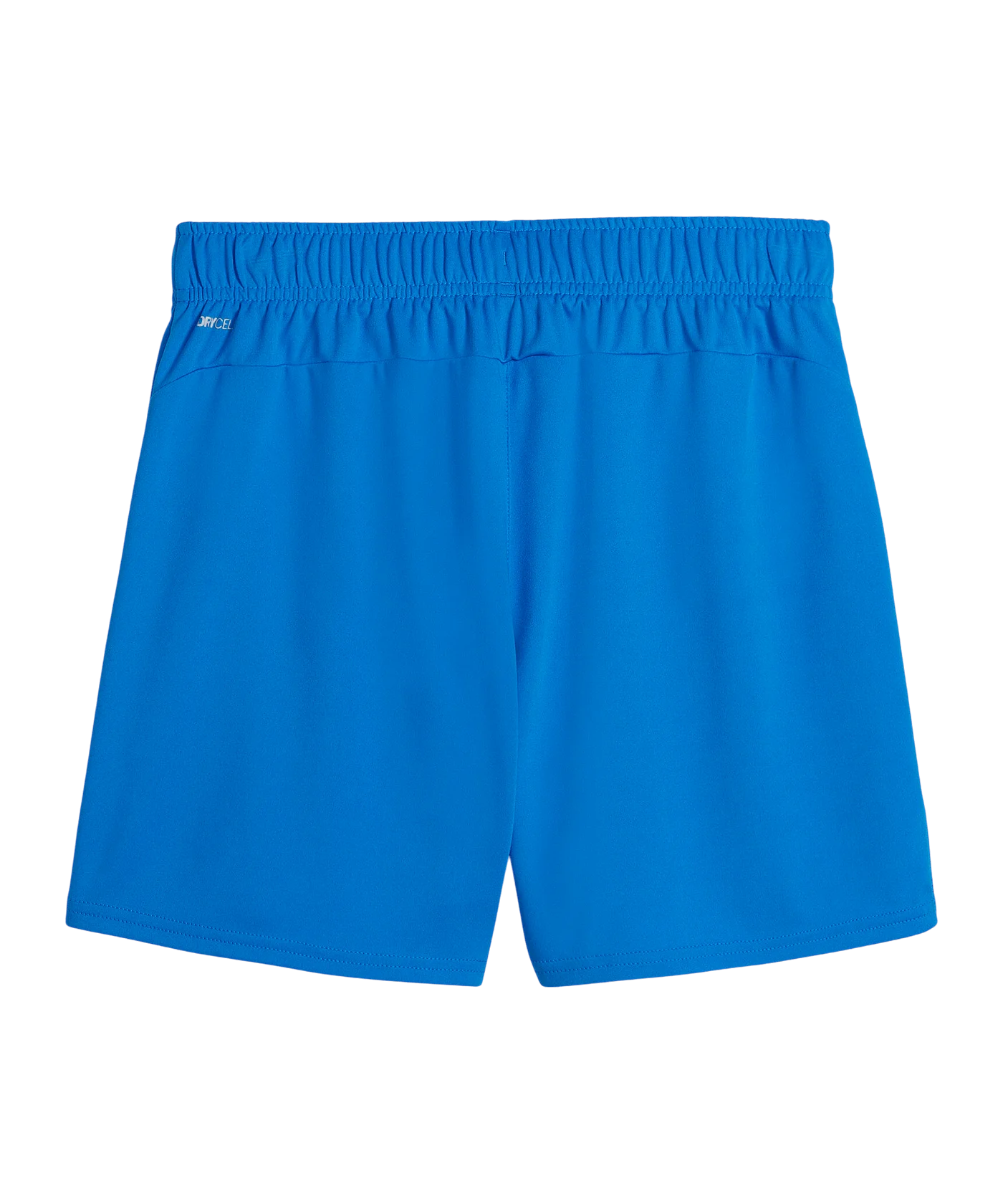 PUMA teamGOAL Short Damen Blau F02