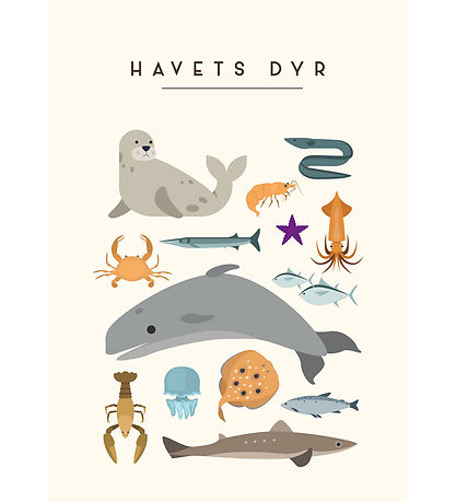 Citatplakat Plakat - B?rneplakat - Havets Dyr - A3