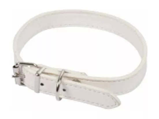 Collier pour Chien 