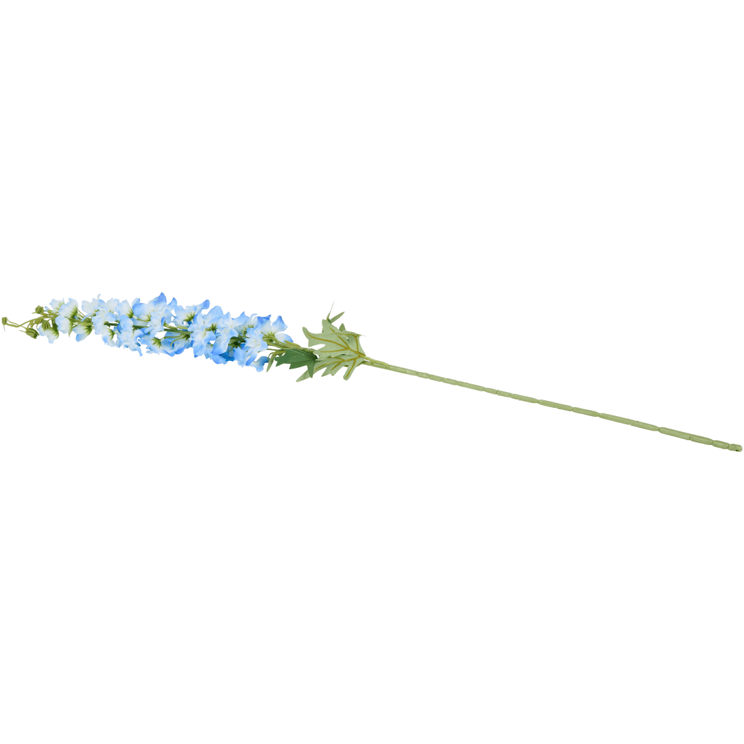 Delphinium sur tige