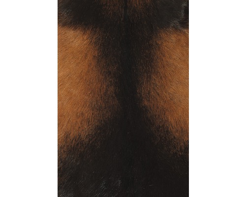 Geitenbont, bruin, 55x70 cm