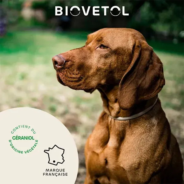 Biovetol - Antiparasitário - Coleira para Cães Grandes (75 cm marrom) - 6 unidades