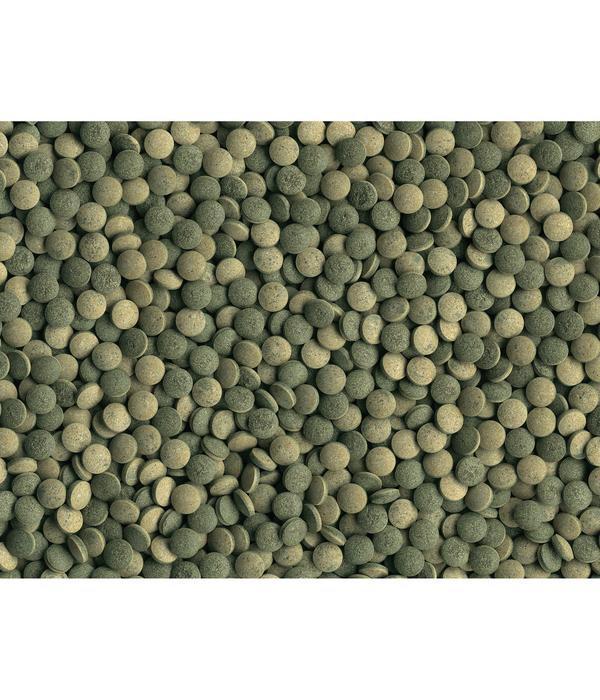 Fischfutter Tetra Pleco Tablets