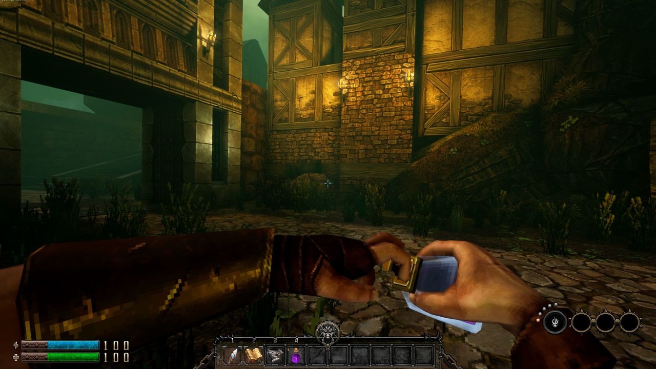 Spielesoftware »Graven« PlayStation 4
