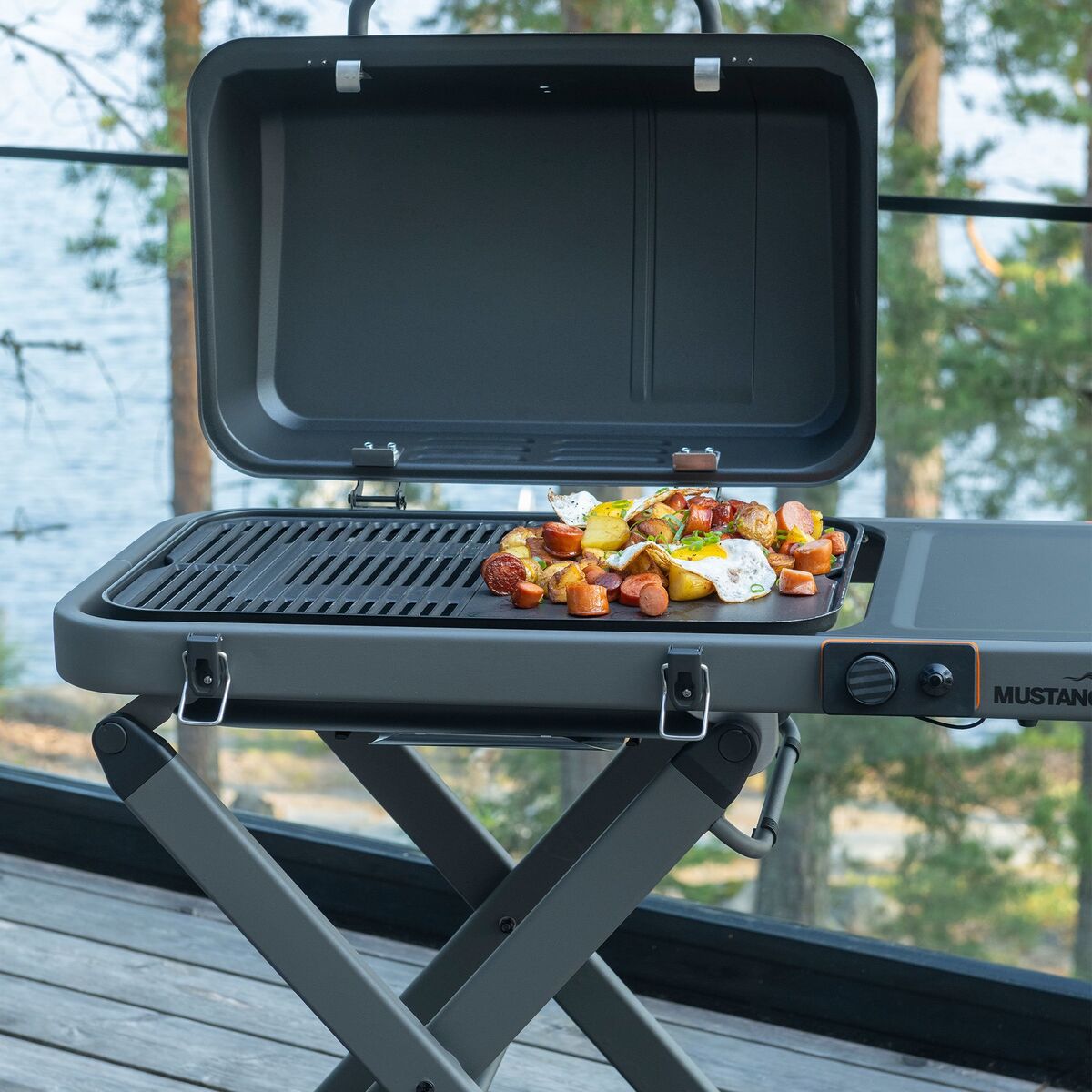 Fold gassgrill