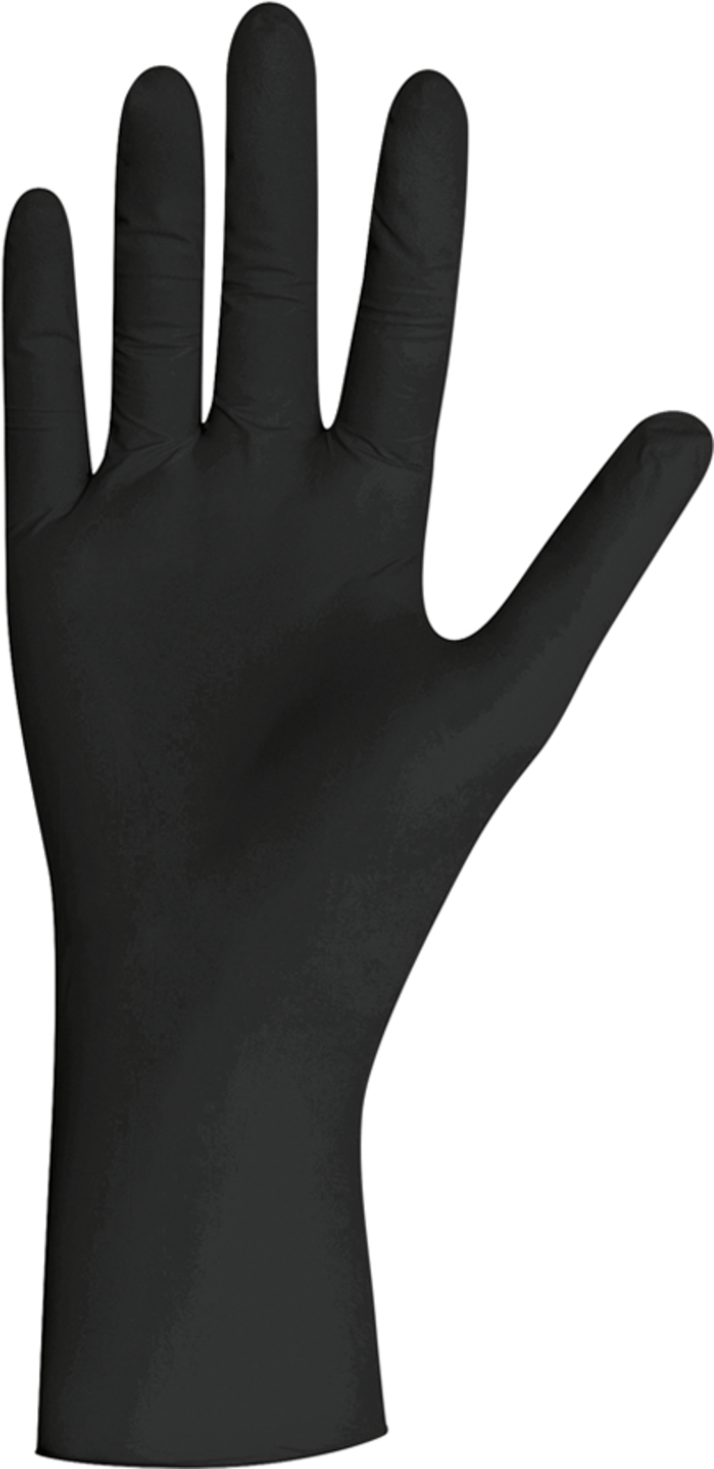3D-basics  Einweg-Nitrilhandschuhe 100er Set, L    Zubehör