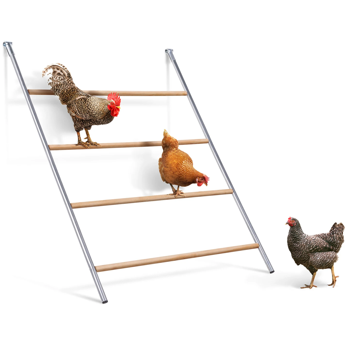 Grand perchoir pour poules 4 niveaux en bois compatible enclos