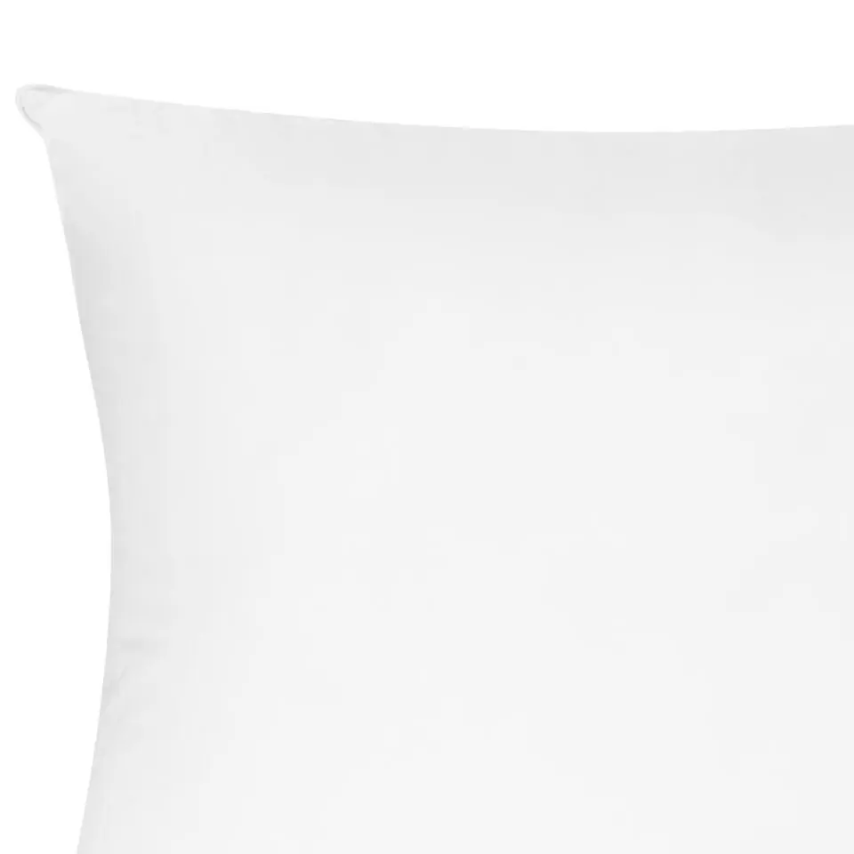 TRIGLAV - Hoofdkussen set van 2 - Wit - 50 x 60 cm - Laag - Polyester