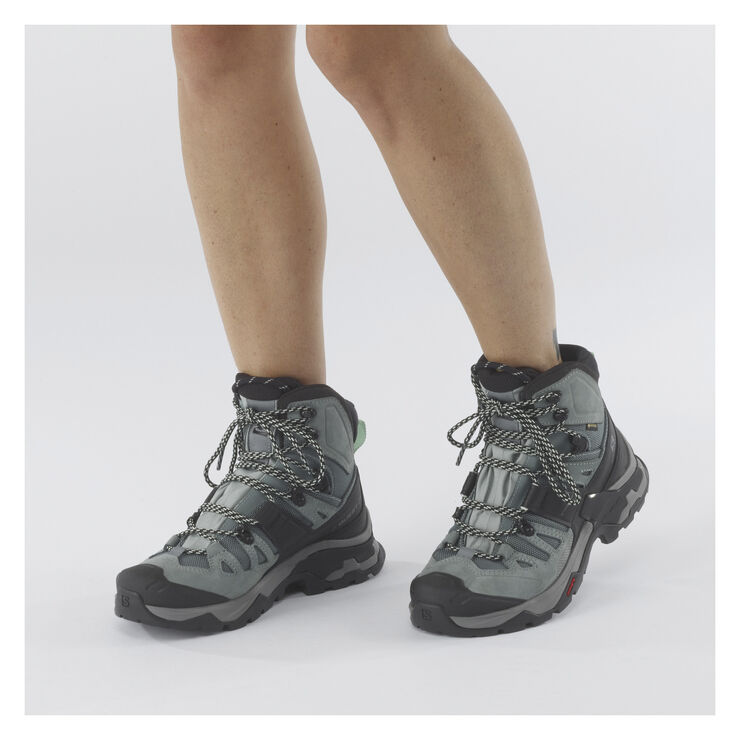 Salomon Salomon Quest 4 GTX vandrestøvle, dame Grå