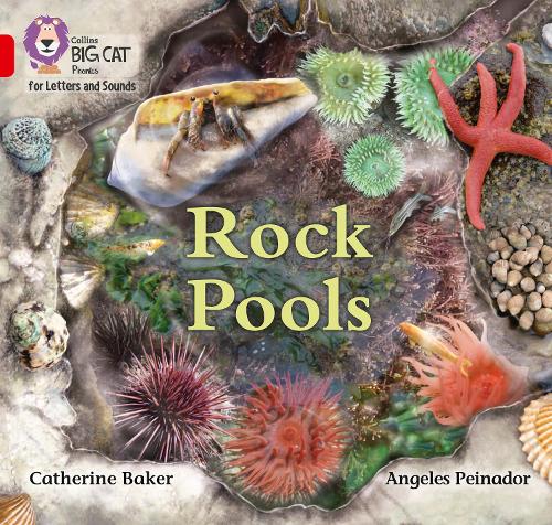 Rock Pools: Band 02b/Red B - Collins Big Cat Phonics for Letters and Sounds (Paperback)