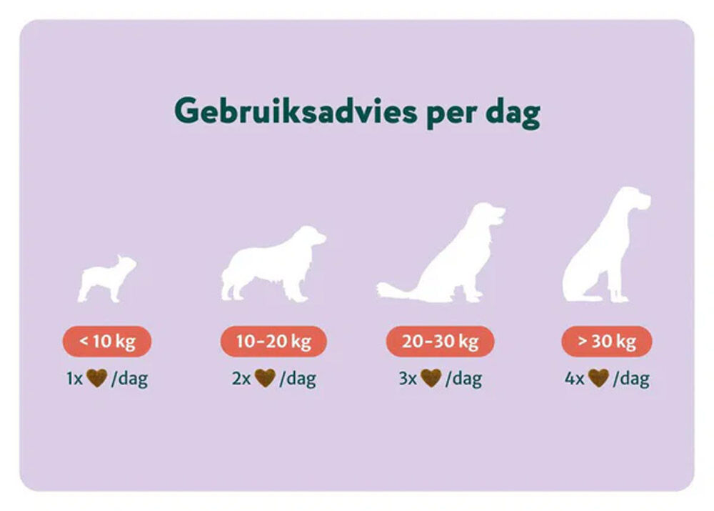 Dogsuppy Anti-Stress & Angst - Supplement - Insect