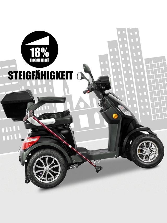 Elektroroller Theo 25 mit BG Akku