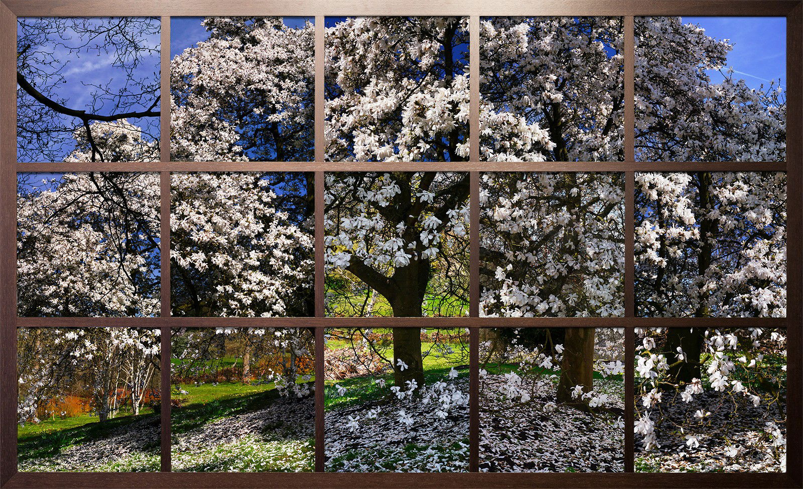 Blossom I by Christiane Zschommler - Limited Edition. Edition of: 75. Signed.