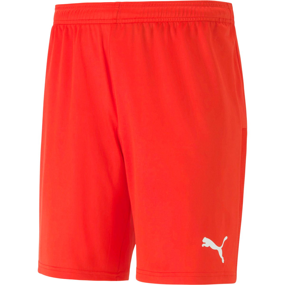 Puma teamGOAL 23 Knit Træningsshorts Herre