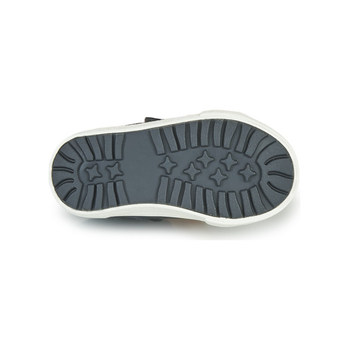 Kangaroos - KAVU I - Marine
