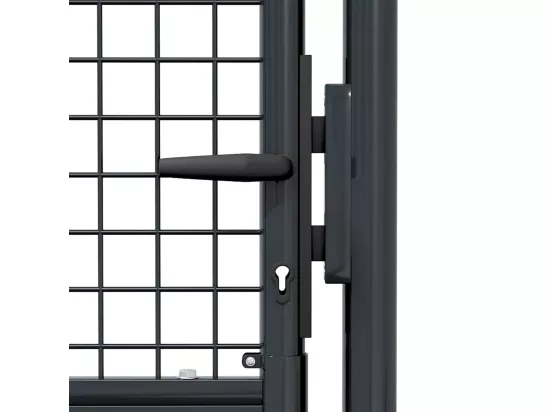 Portail en maille de jardin Acier galvanisé 100 x 250 cm Gris