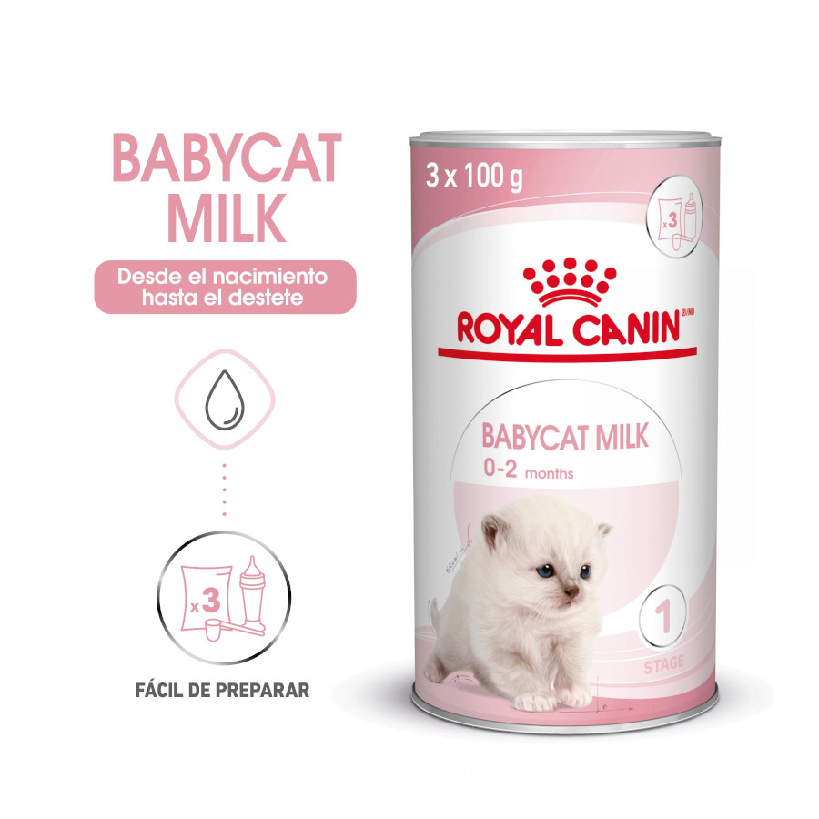 Leite Royal Canin para gatinhos no primeiro ano de vida.