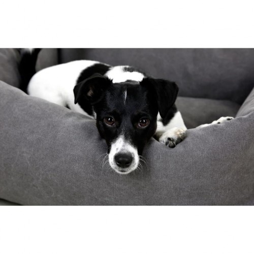 Cama para cachorro Lucca, cinza