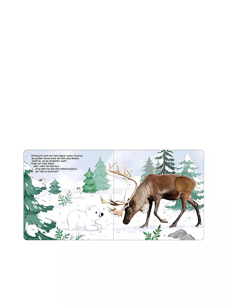 ARS EDITION VERLAG Buch - Hör mal, kleiner Eisbär! keine Farbe