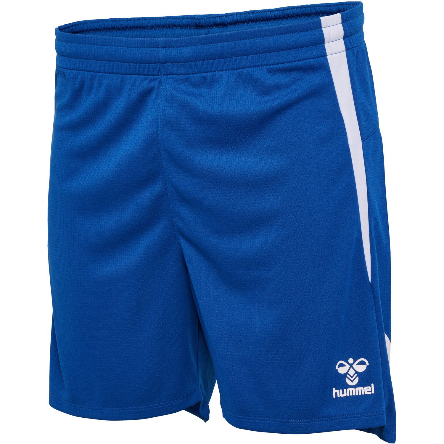 Hummel Lead 2.0 Shorts Heren
