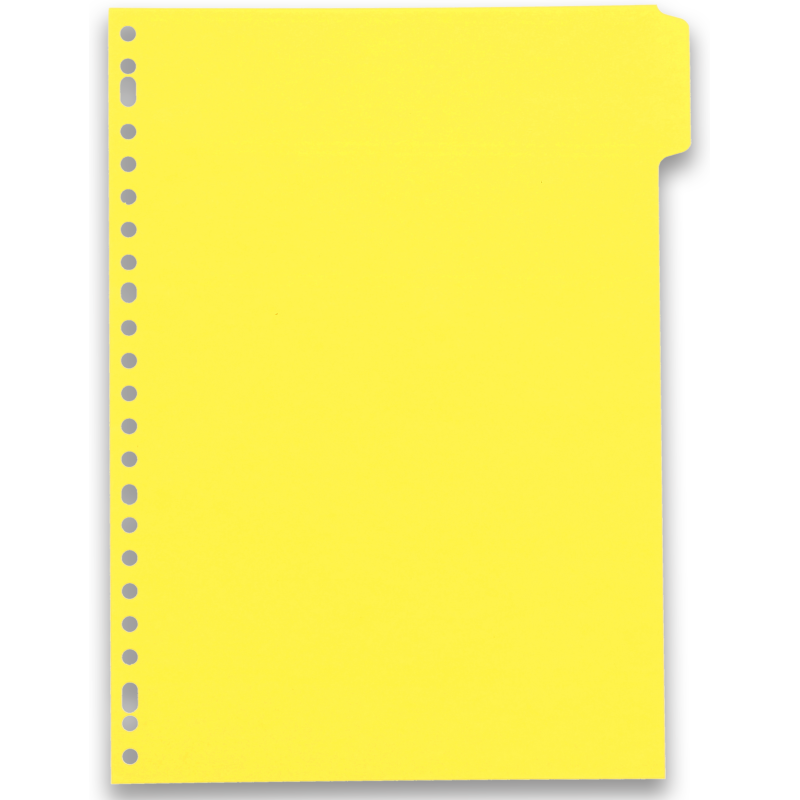 Intercalaires neutres A4 6 positions carte lustree 5/10 assorti